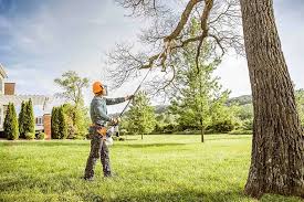 How Our Tree Care Process Works  in  Nokesville, VA